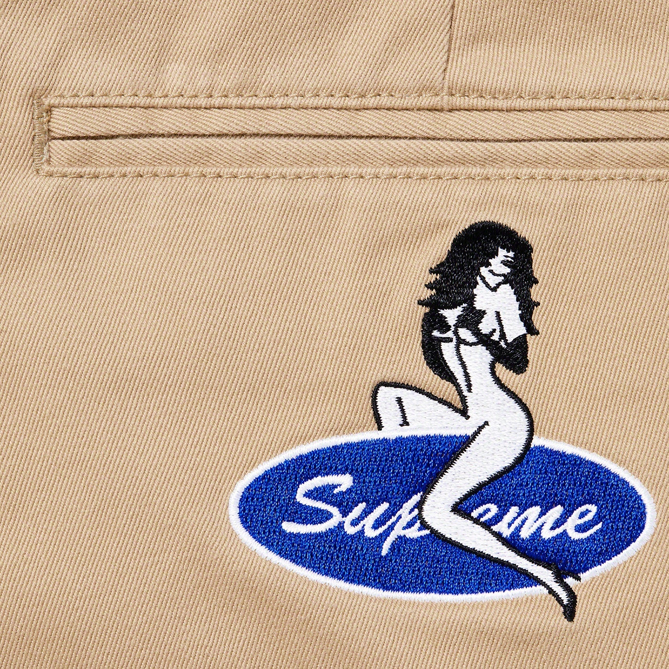 Pin Up Chino Pant view 13